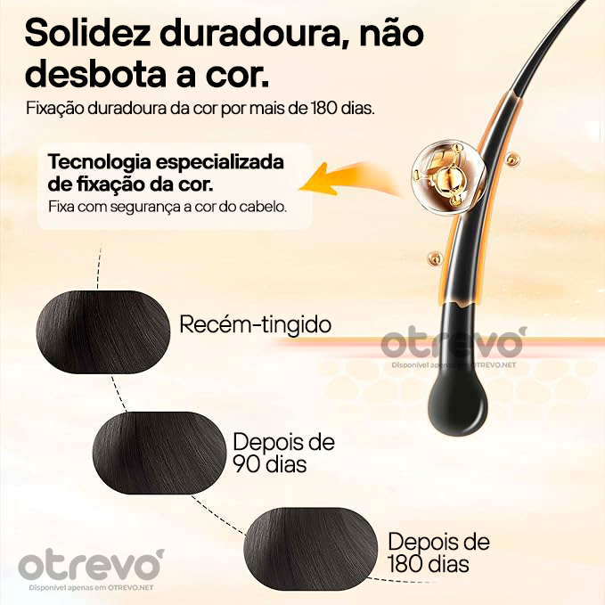 Shampoo Tintura Tonalizante Instantâneo 3 em 1 (100% SEM QUIMÍCA)  + BRINDE EXCLUSIVO