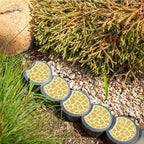 Forma Profissional para Piso de Concreto – PisoPro® (Kit com 6 Moldes)