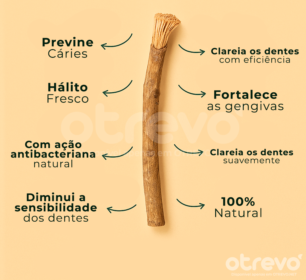 Kit 12 Escovas Miswak 100% Naturais + Brinde Exclusivo