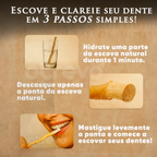 Kit 12 Escovas Miswak 100% Naturais + Brinde Exclusivo