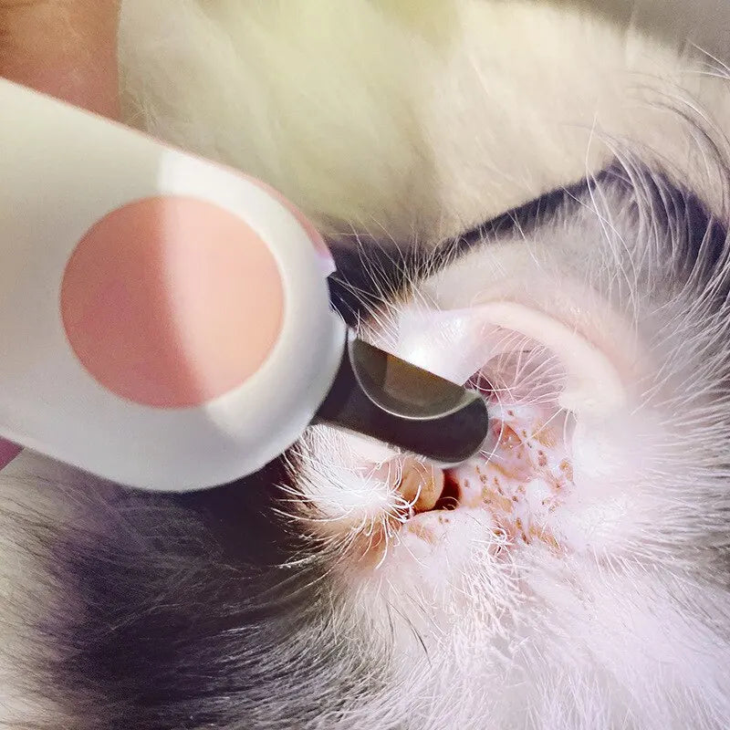Cortador de Unhas Profissional Para Pets (LED EMBUTIDO) - CutPet®