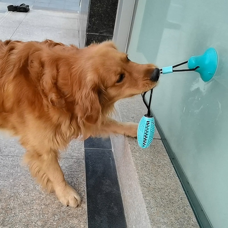 Brinquedo Mordedor Interativo com Ventosa Para Cães - ®PuxaDog