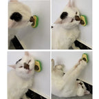 Lambedor Catnip Para Gatos - Melhora na digestão e humor