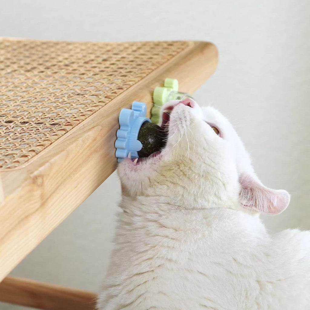 Lambedor Catnip Para Gatos - Melhora na digestão e humor