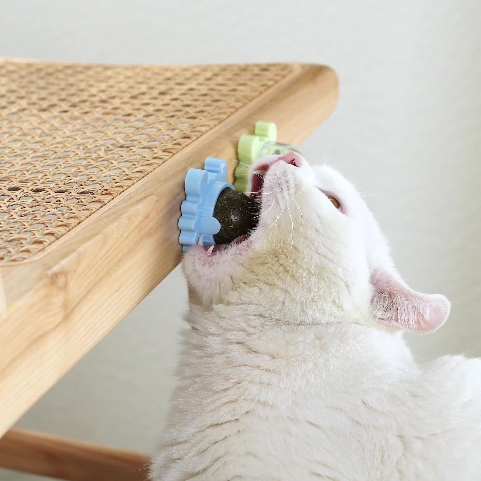 Lambedor Catnip Para Gatos - Melhora na digestão e humor
