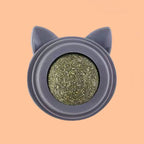 Lambedor Catnip Para Gatos - Melhora na digestão e humor